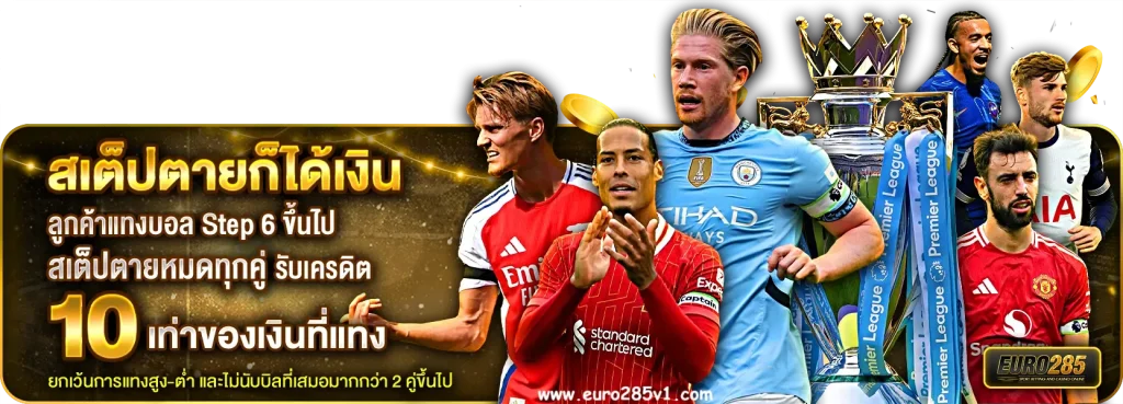 euro285