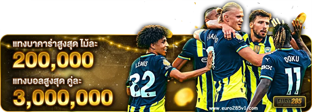 euro285